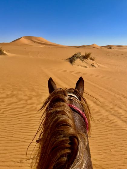 The Caravan Experience