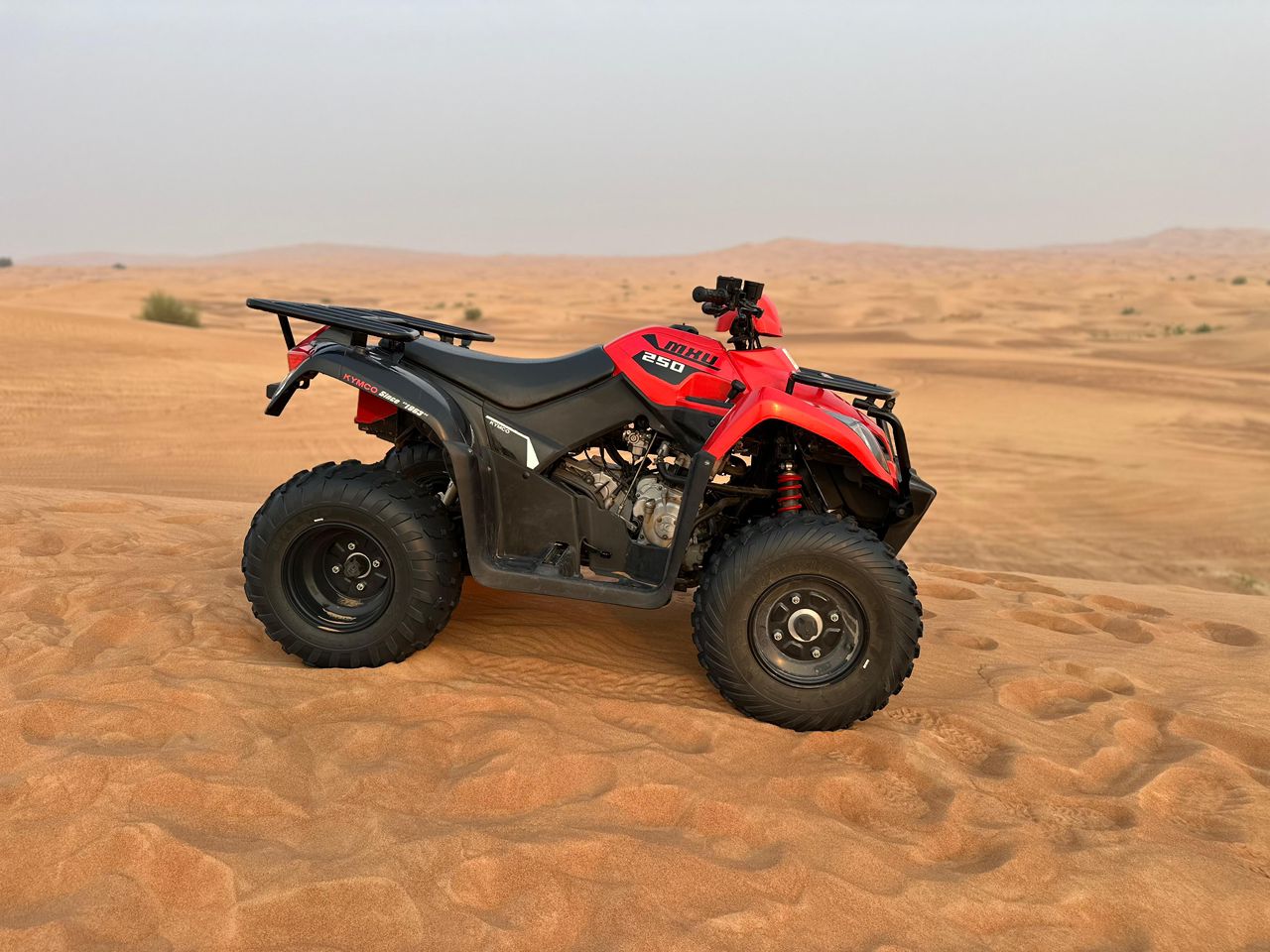 Quad Bike Adventures
